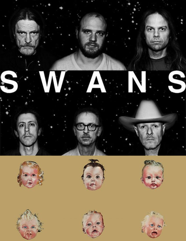 Swans - confusion is sexy
